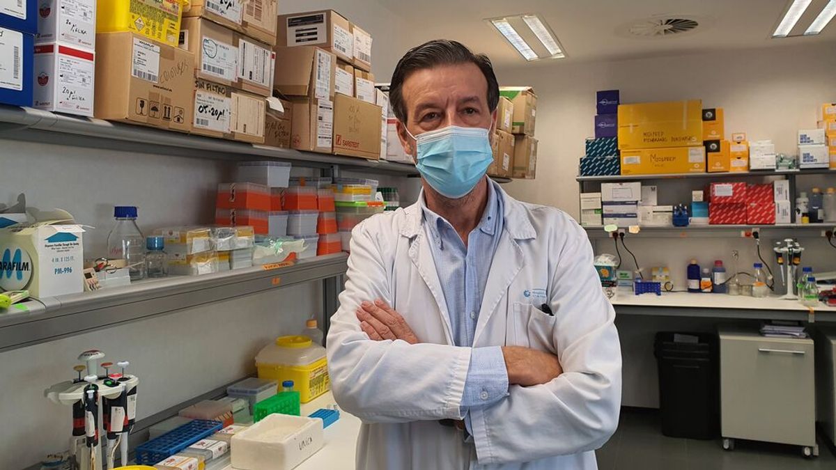 El Hospital 12 de Octubre crea un nuevo anticuerpo que frena el crecimiento de algunos tumores y elimina la toxicidad El Hospital 12 de Octubre crea un nuevo anticuerpo que frena el crecimiento de algunos tumores y elimina la toxicidad