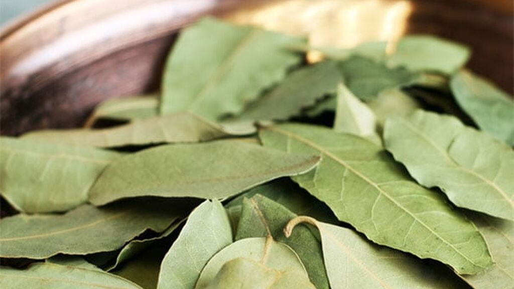 Las cucarachas suelen huir del laurel.