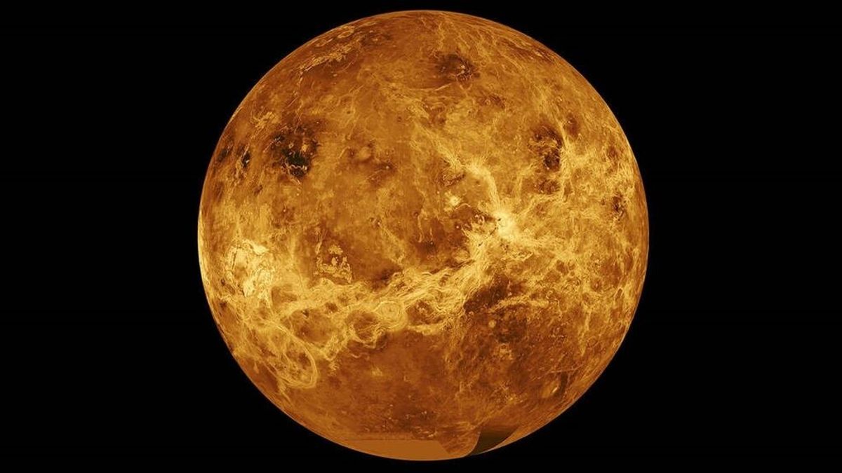 Imagen de Venus Imagen de Venus