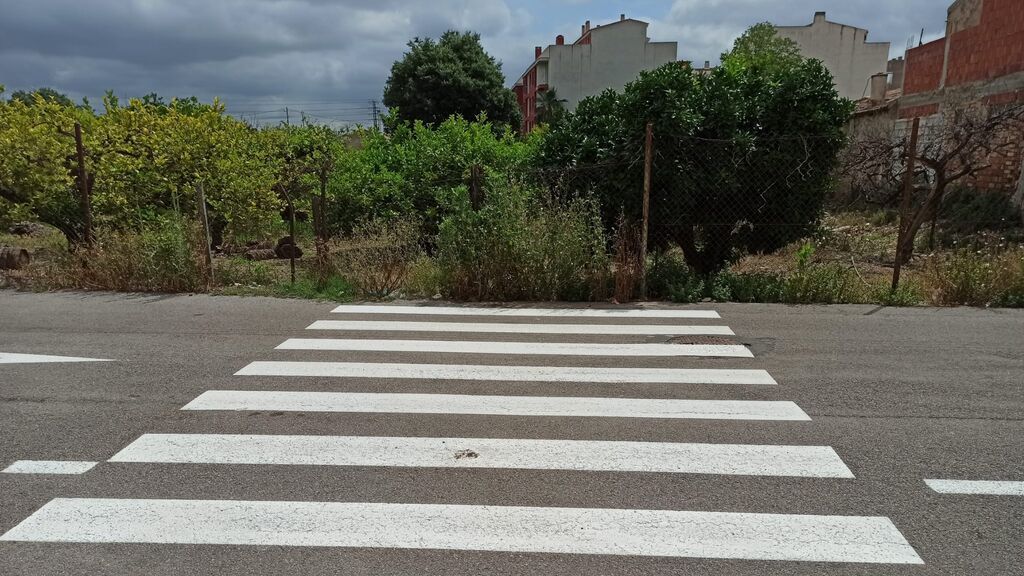 paso cebra