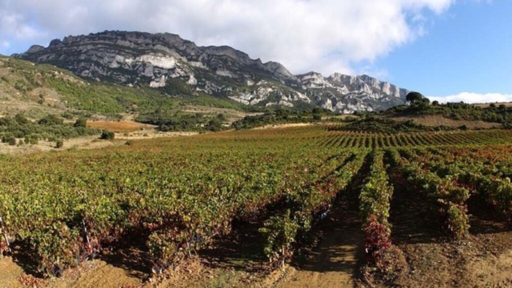 EuropaPress_3299628_vinedos_rioja_alavesa