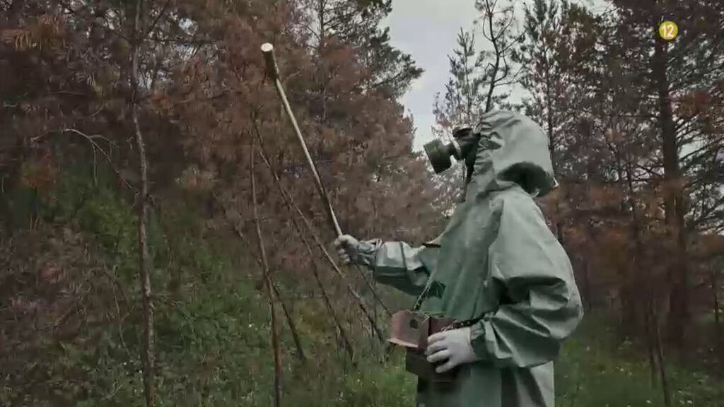 La naturaleza en lucha con el ser humano en Chernóbil, el domingo en ‘Cuarto milenio’