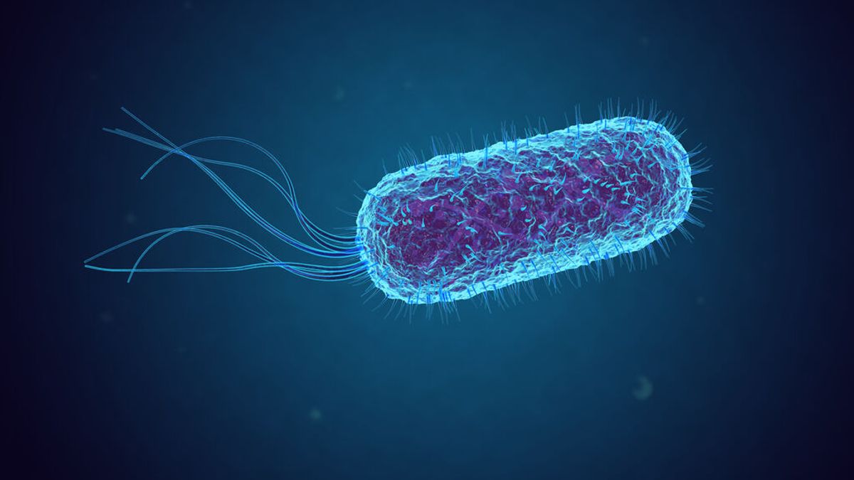 La bacteria indestructible que puede revolucionar la industria de la biología sintética