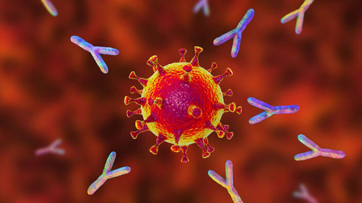 La infección dependiente de anticuerpos: cuando la inmunidad, en vez de defenderte, se alía con el virus