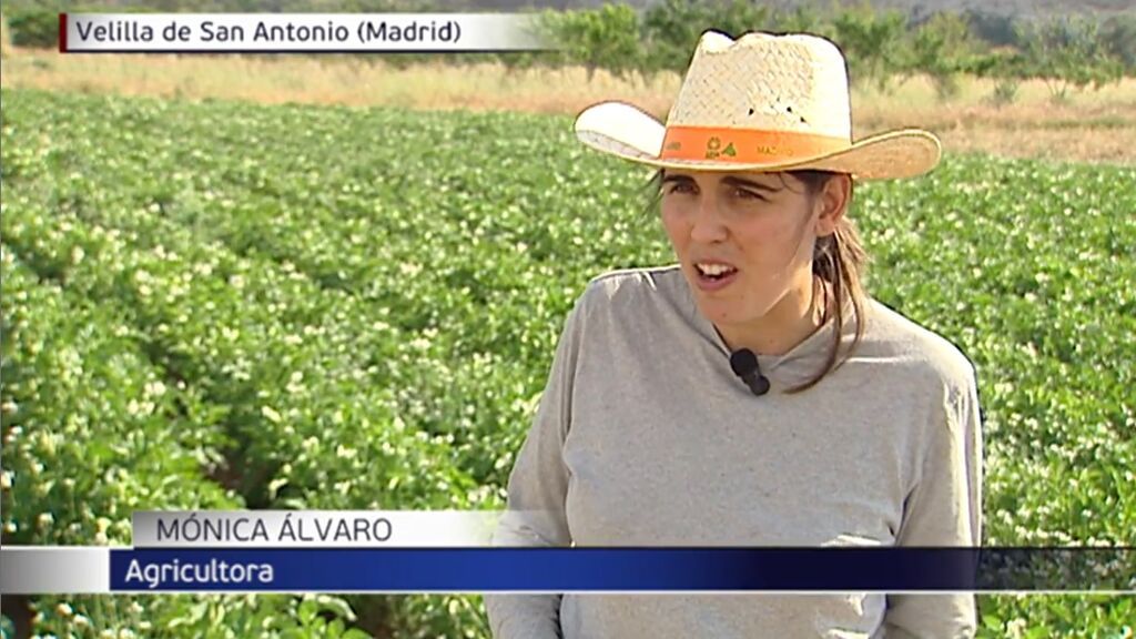 El cambio de vida de Mónica: con dos licenciaturas, se hizo agricultora hace ocho años