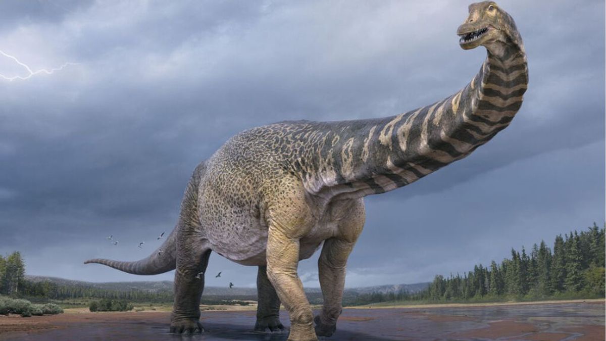 Descubren los restos de 'Cooper', el dinosaurio más grande de Australia Descubren los restos de 'Cooper', el dinosaurio más grande de Australia