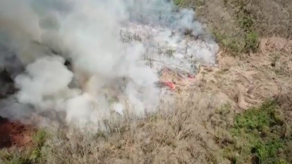 Manos a la obra para evitar incendios descontrolados en verano: así se prepara España