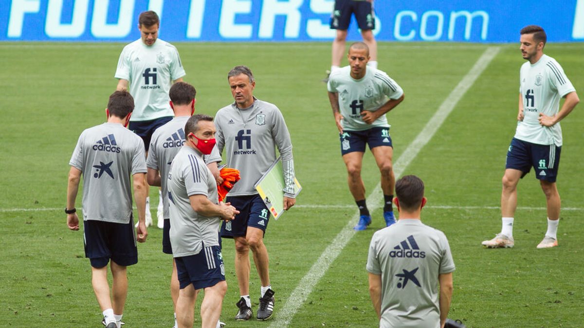 Todos los componentes de la Roja dan negativo en los PCR Todos los componentes de la Roja dan negativo en los PCR