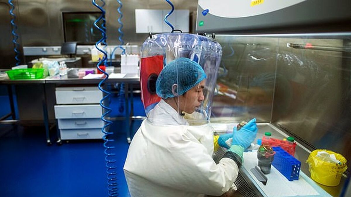 Dos expertos estadounidenses aseguran que la ciencia sugiere que el covid salió de un laboratorio chino