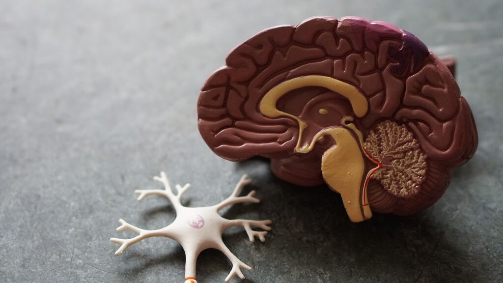 Impulso al diagnóstico precoz del alzhéimer: se puede saber si hay riesgo de demencia por los genes