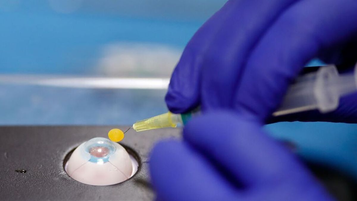 Descubren que un pequeño animal microscópico sigue vivo tras 24.000 años en estado de congelación Descubren que un pequeño animal microscópico sigue vivo tras 24.000 años en estado de congelación