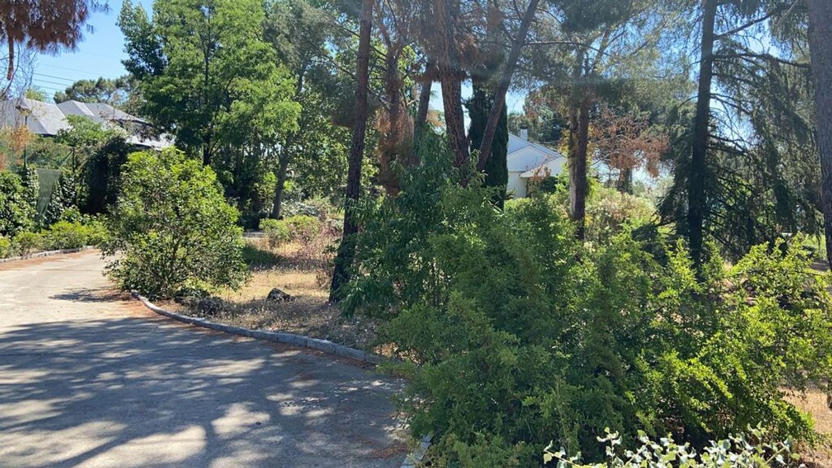 El crimen del Marqués de Cirella, el cazador que mató a su exmujer en su mansión de Pozuelo El crimen del Marqués de Cirella, el cazador que mató a su exmujer en su mansión de Pozuelo