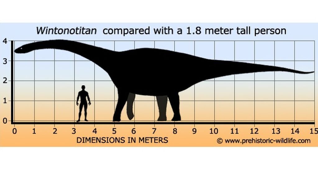 wintonotitan-size