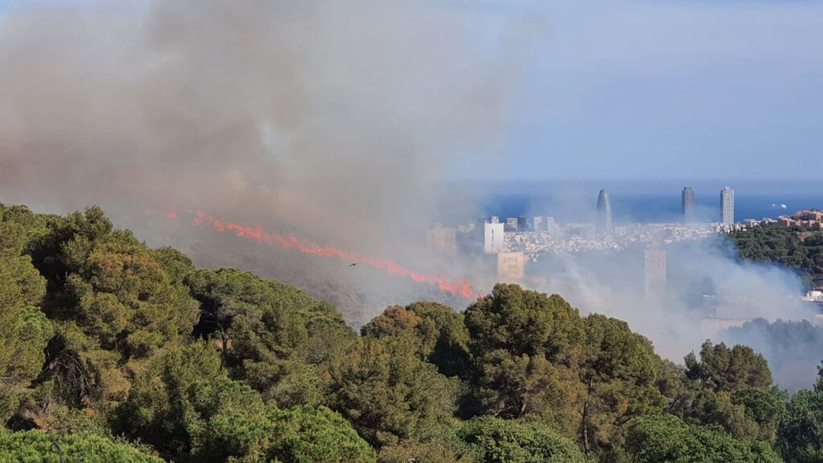 Incendio en una zona cercana a viviendas del Parque de Collserola (Barcelona) Incendio en una zona cercana a viviendas del Parque de Collserola (Barcelona)