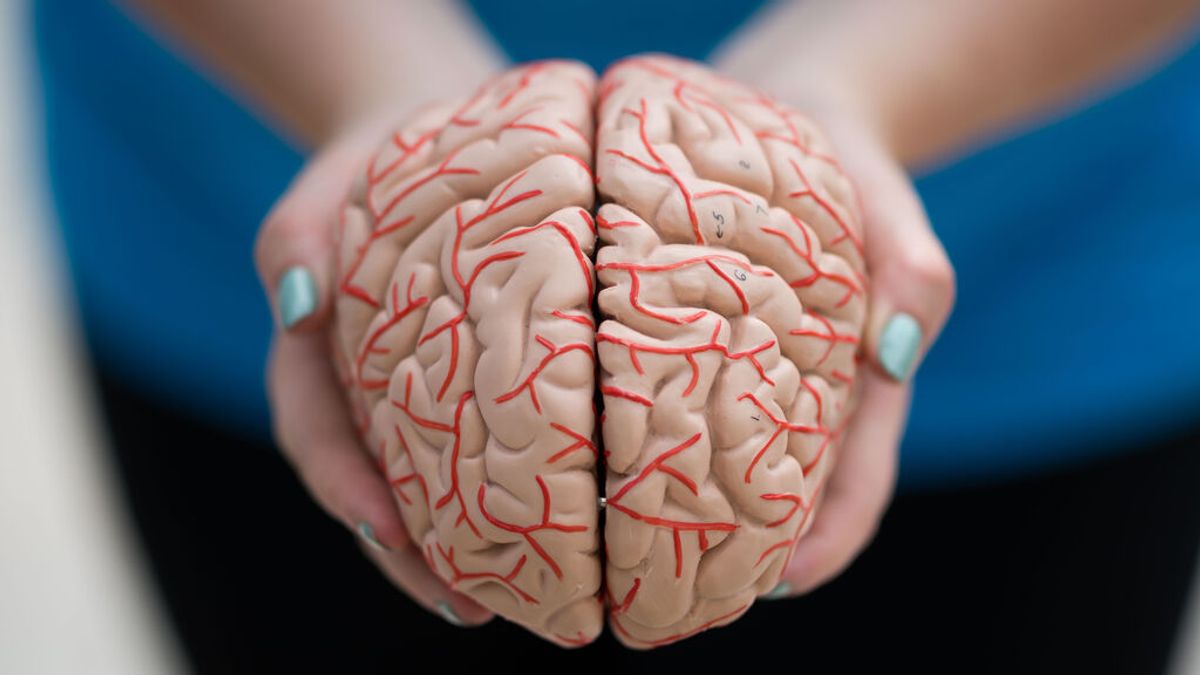 Esperanza, muchas dudas y un precio inasumible: la polémica que rodea al primer fármaco contra el Alzheimer aprobado en dos décadas Esperanza, muchas dudas y un precio inasumible: la polémica que rodea al primer fármaco contra el Alzheimer aprobado en dos décadas