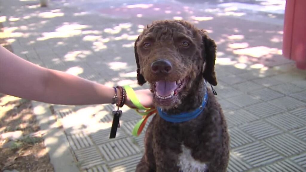 La dueña de Turco se emociona al hablar con los rescatadores de su mascota