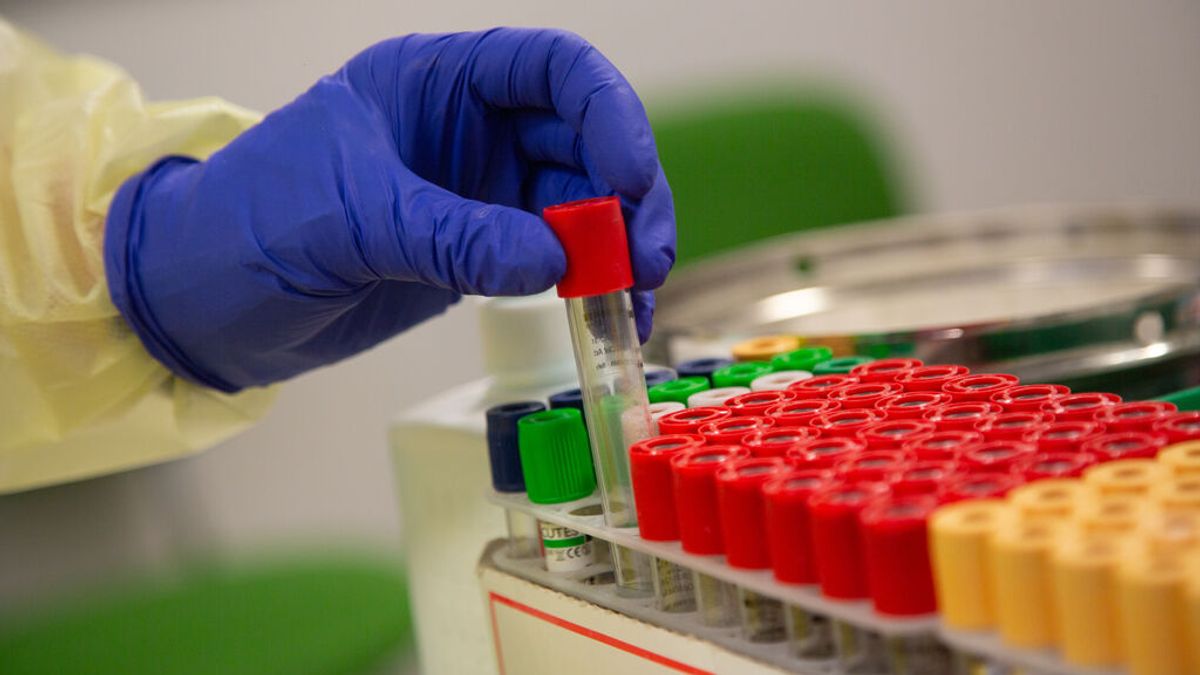 Detectados doce nuevos casos de la variante india, localizados en una empresa de Bilbao Detectados doce nuevos casos de la variante india, localizados en una empresa de Bilbao