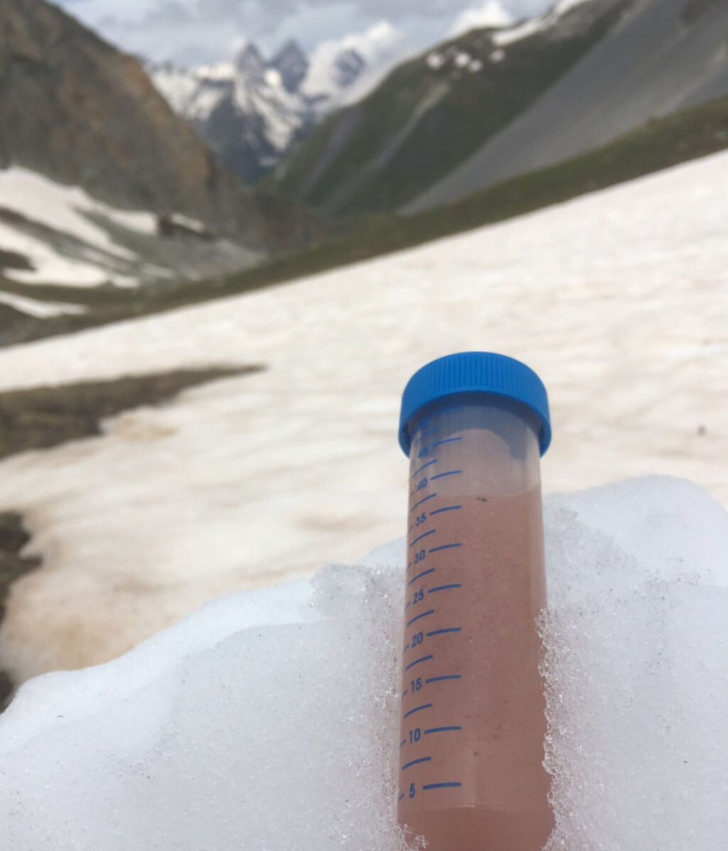 2019-D9XBGKxWwAAuCpG-768x1024