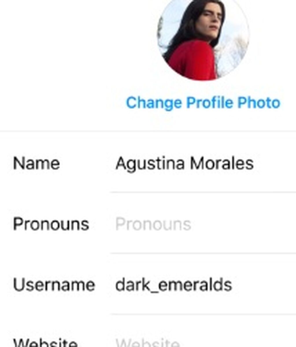 Instagram-pronombres