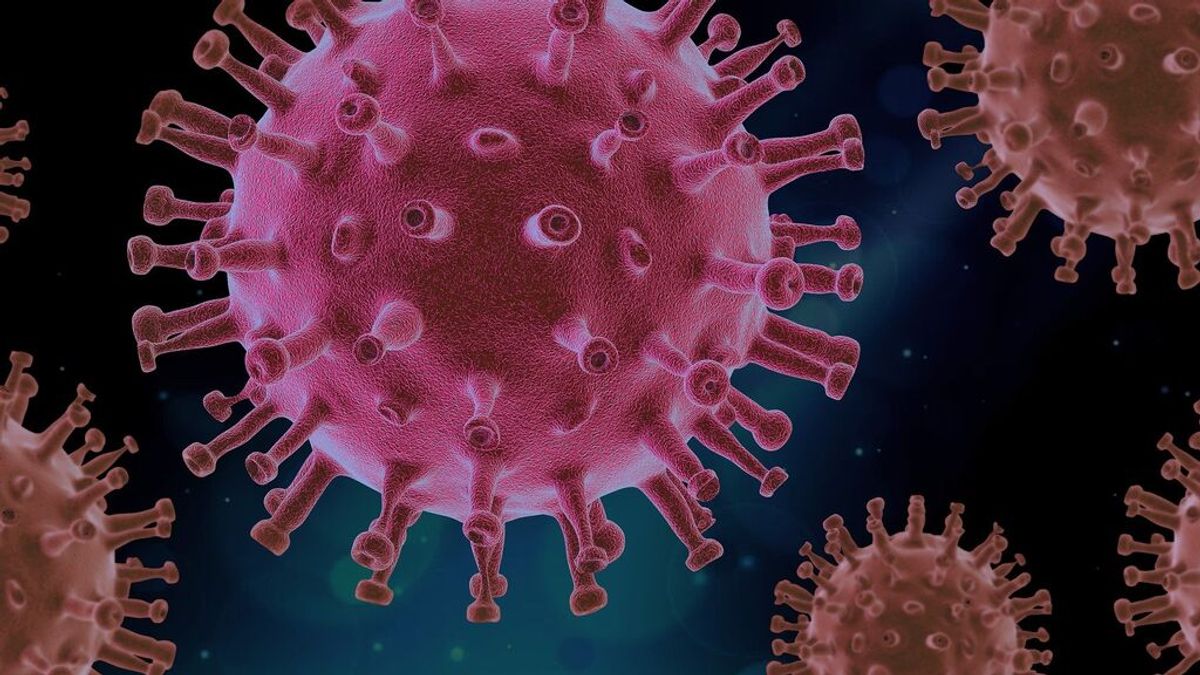 Qué es el hantavirus, la enfermedad respiratoria viral que preocupa en EEUU tras la aparición de un caso