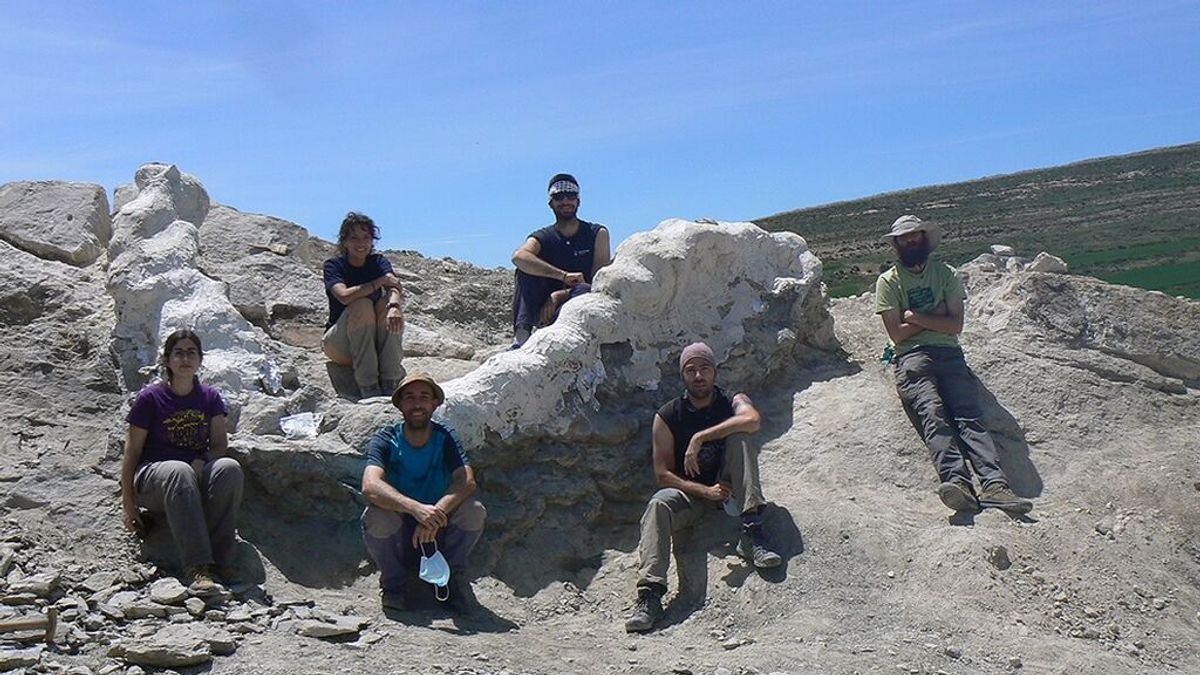 Recuperada una columna vertebral de un dinosaurio gigante en Teruel Recuperada una columna vertebral de un dinosaurio gigante en Teruel