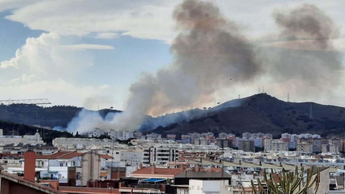 Los Mossos sostienen que el incendio de Collserola, en Barcelona, ha sido provocado Los Mossos sostienen que el incendio de Collserola, en Barcelona, ha sido provocado