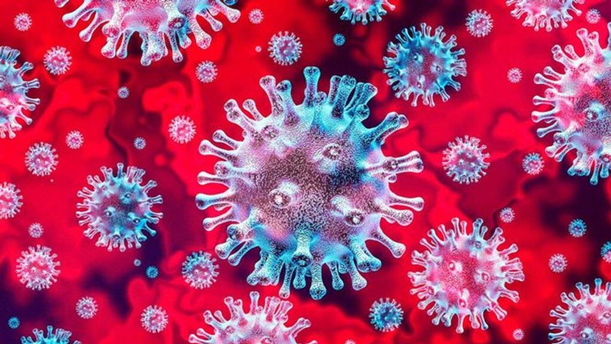 Anticuerpos: todas las dudas sobre la inmunidad del covid19, tanto si te vacunas como si has pasado la enfermedad