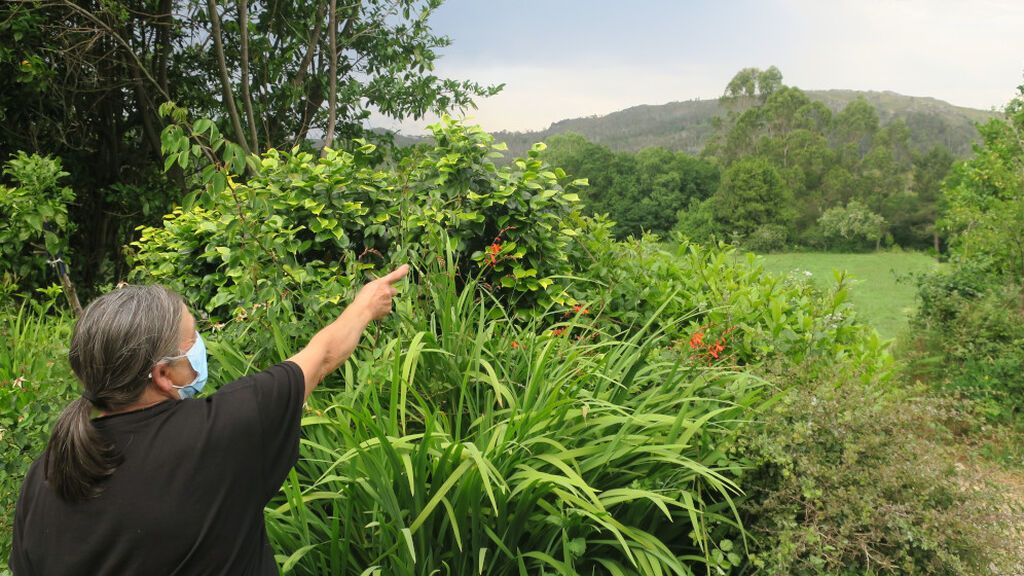 María Martínez señala, desde su casa, el lugar en el que colocarían los eólicos