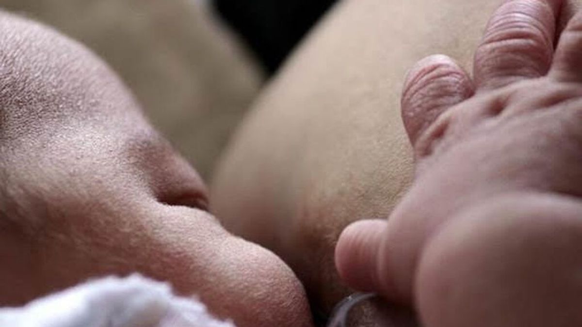 La leche materna de mujeres infectadas y de vacunadas contra el coronavirus contiene anticuerpos frente al virus La leche materna de mujeres infectadas y de vacunadas contra el coronavirus contiene anticuerpos frente al virus