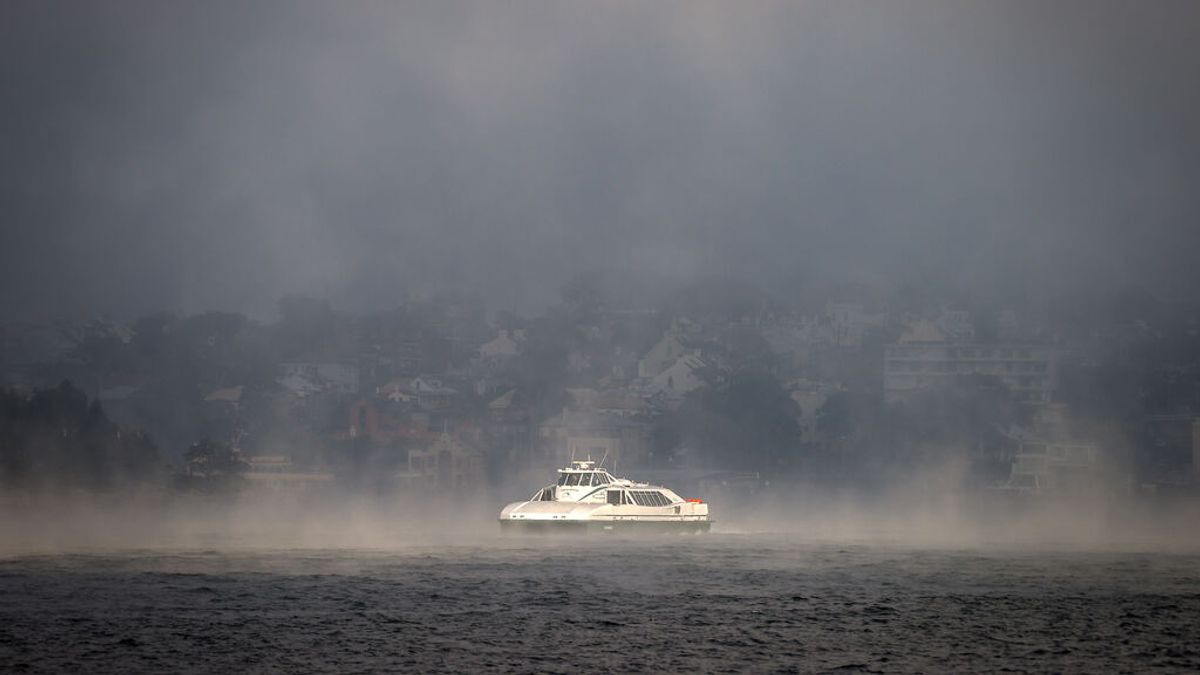 Sídney, envuelta en ‘humo de mar’: el día más frío en años produce una espesa niebla de película