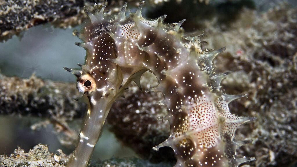 GettyImages-481931614