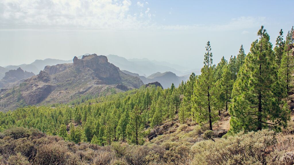 gran-canaria-1171713_1920