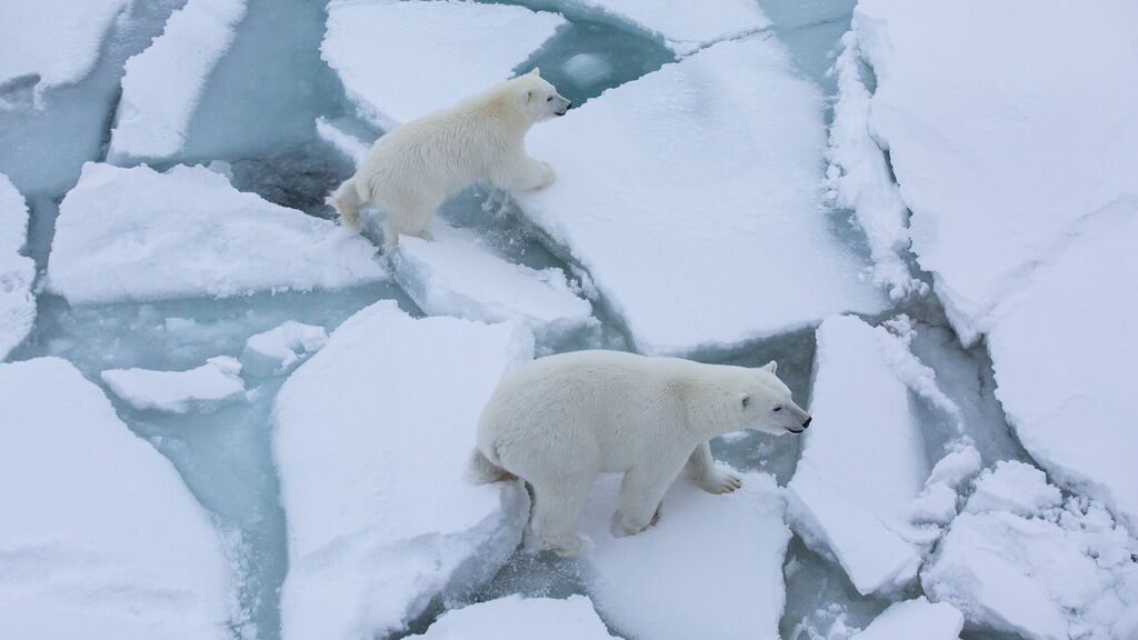 El hielo marino del Ártico retrocede el doble de rápido de lo que se pensaba