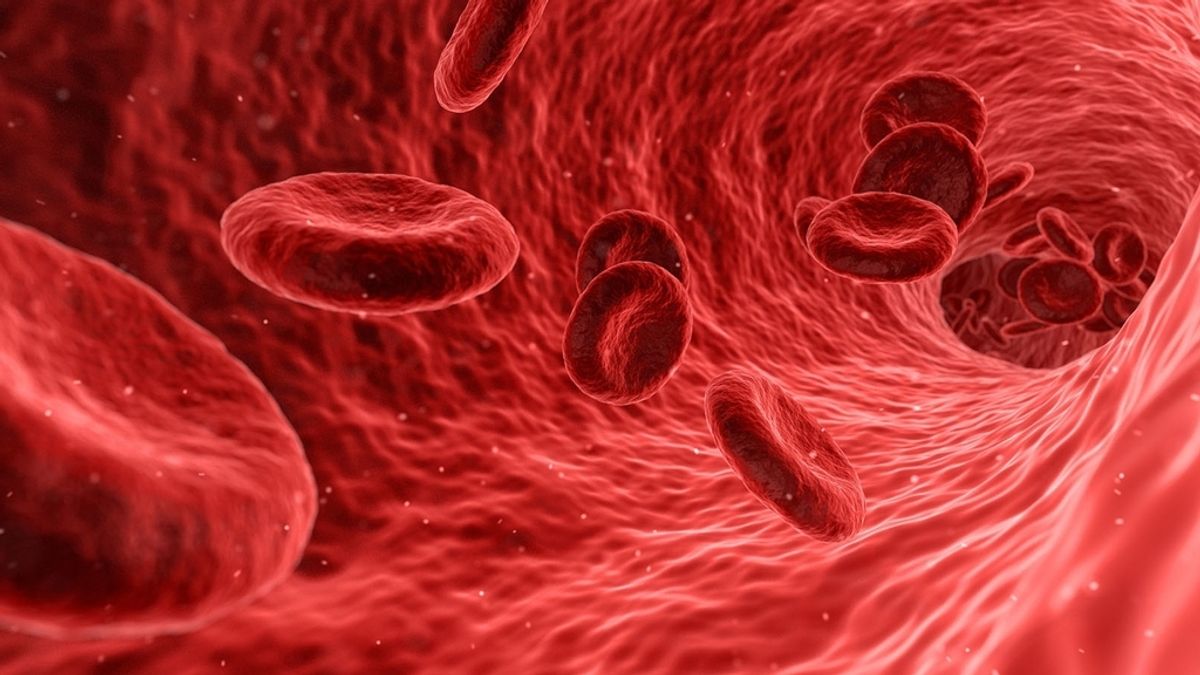 Cvirus.- El plasma de supervivientes de Covid-19 mejoran la supervivencia en pacientes Covid-19 y cáncer de sangre