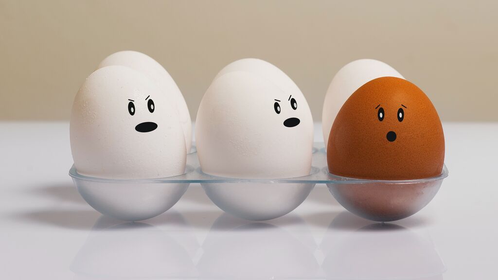 Cómo saber si un huevo es fresco - ¡Trucos fáciles!