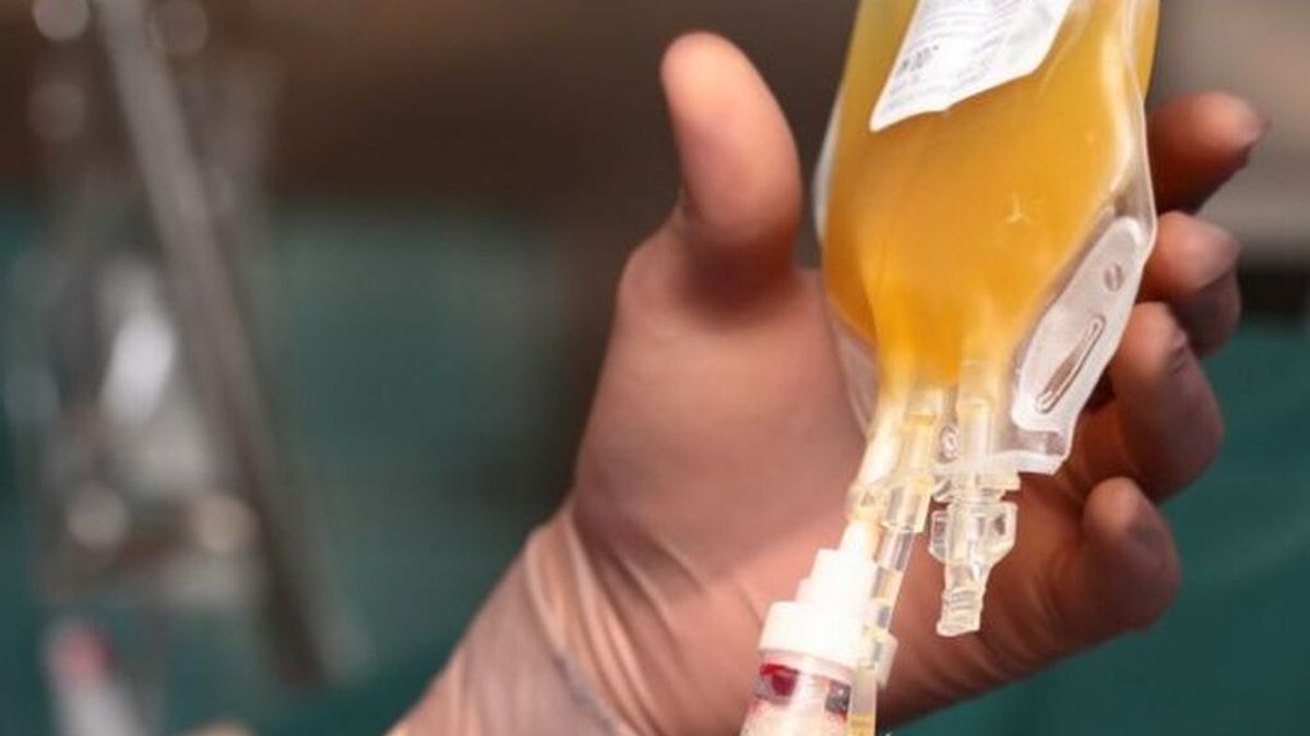 El plasma de supervivientes de coronavirus reduce riesgos en pacientes covid y cáncer de sangre