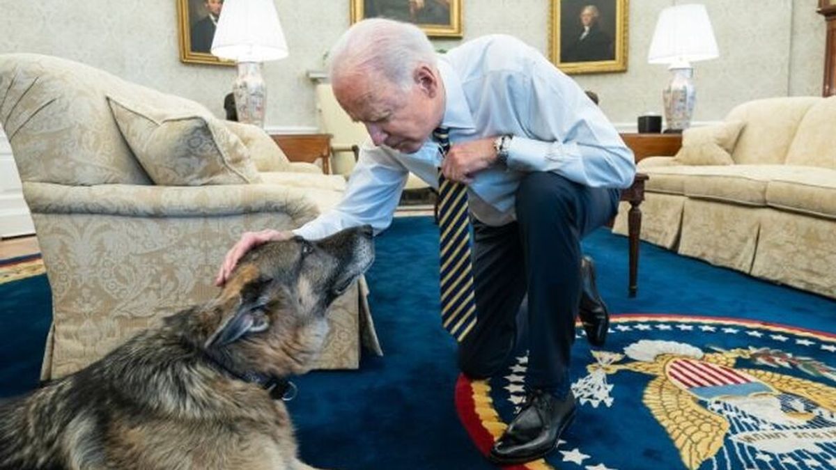 Muere Champ, uno de los perros del presidente Joe Biden