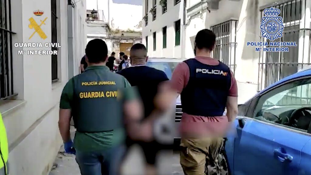 Operación Apium01