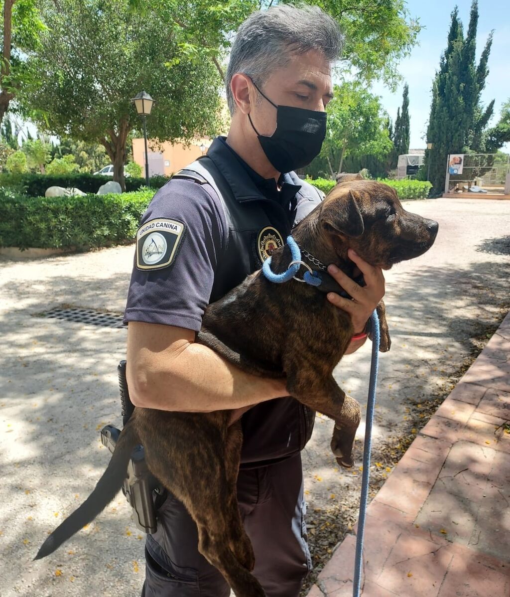 La Unidad Canina de la Policía Local rescata a un perro encerrado en un garaje sin agua y a pleno sol