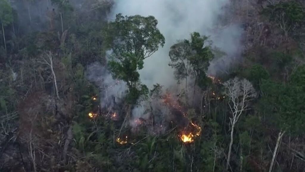 La campaña Stop Ecocidio persigue el daño irreversible y deliberado al medioambiente