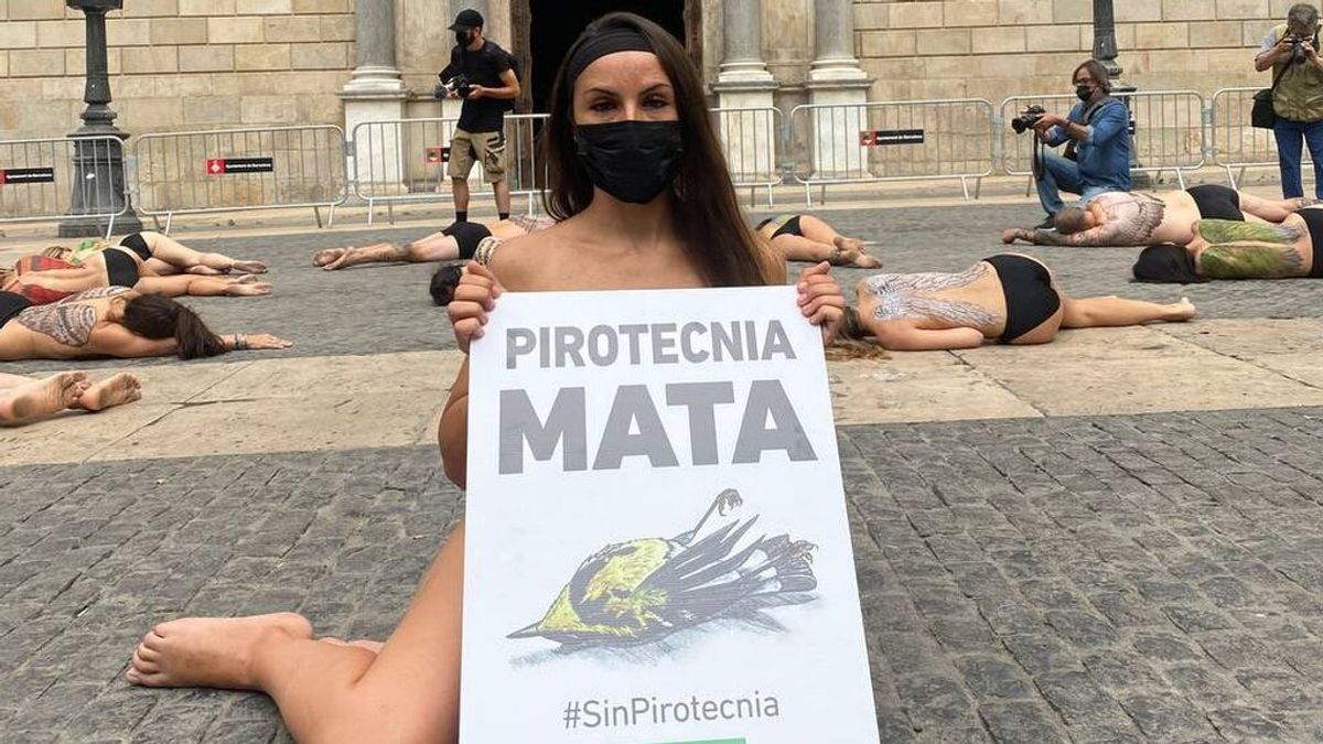 Colectivos animalistas piden fuegos artificiales sin sonido en Barcelona para proteger a las aves Colectivos animalistas piden fuegos artificiales sin sonido en Barcelona para proteger a las aves
