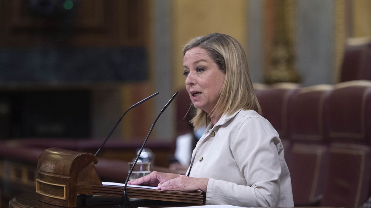Coronavirus.- Oramas (CC) pide la vacunación para las tripulaciones aéreas en la campaña de verano Coronavirus.- Oramas (CC) pide la vacunación para las tripulaciones aéreas en la campaña de verano