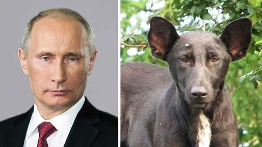 Putin
