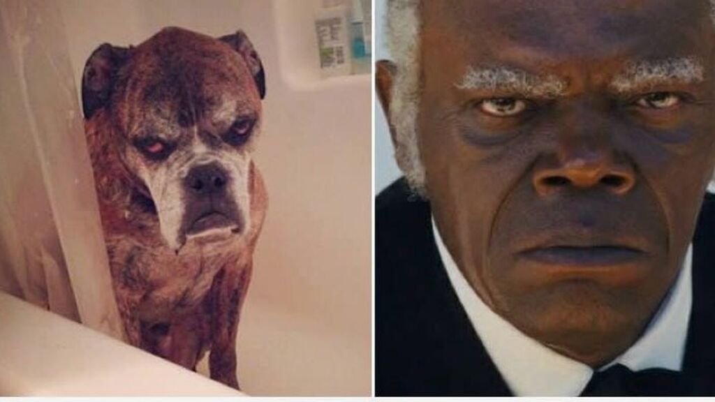 Samuel-l-jackson