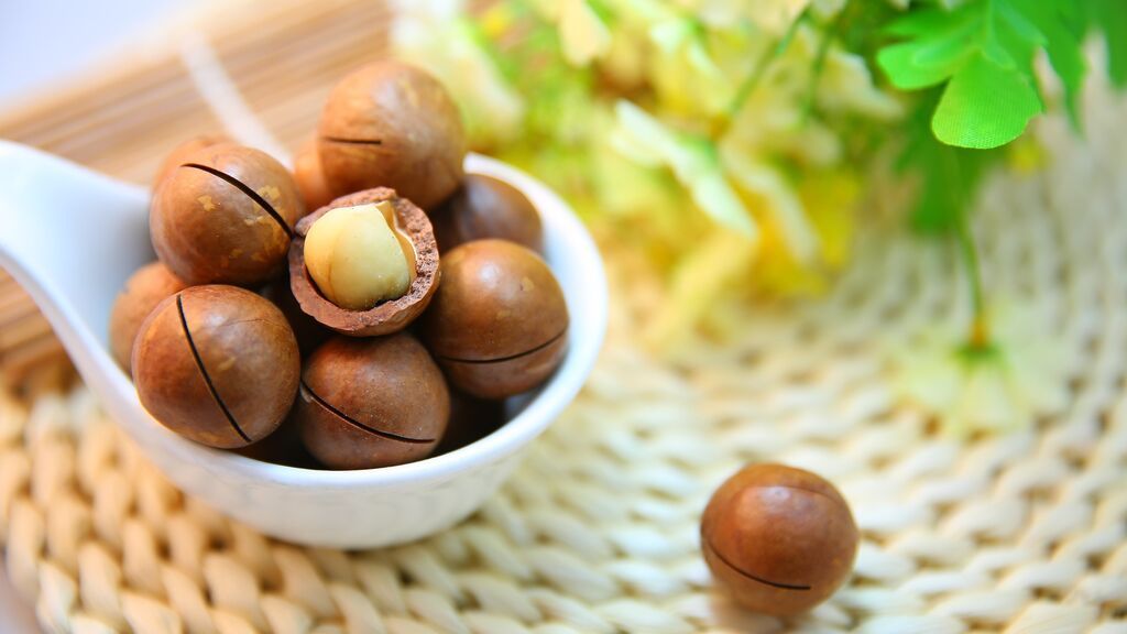 Beneficios y propiedades del aceite de macadamia para el pelo en tu día a día