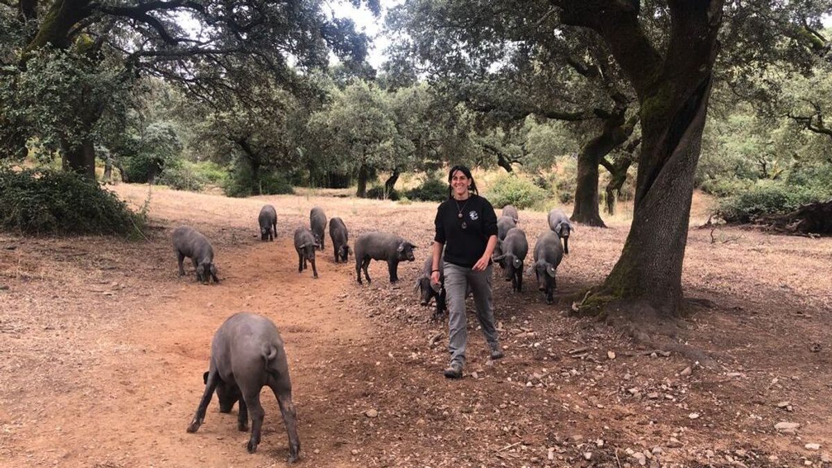 'Apadrina a un cerdo’, el invento de una ganadera de Jabugo frente a la crisis: “Recomiendo que no le pongan nombre” 'Apadrina a un cerdo’, el invento de una ganadera de Jabugo frente a la crisis: “Recomiendo que no le pongan nombre”
