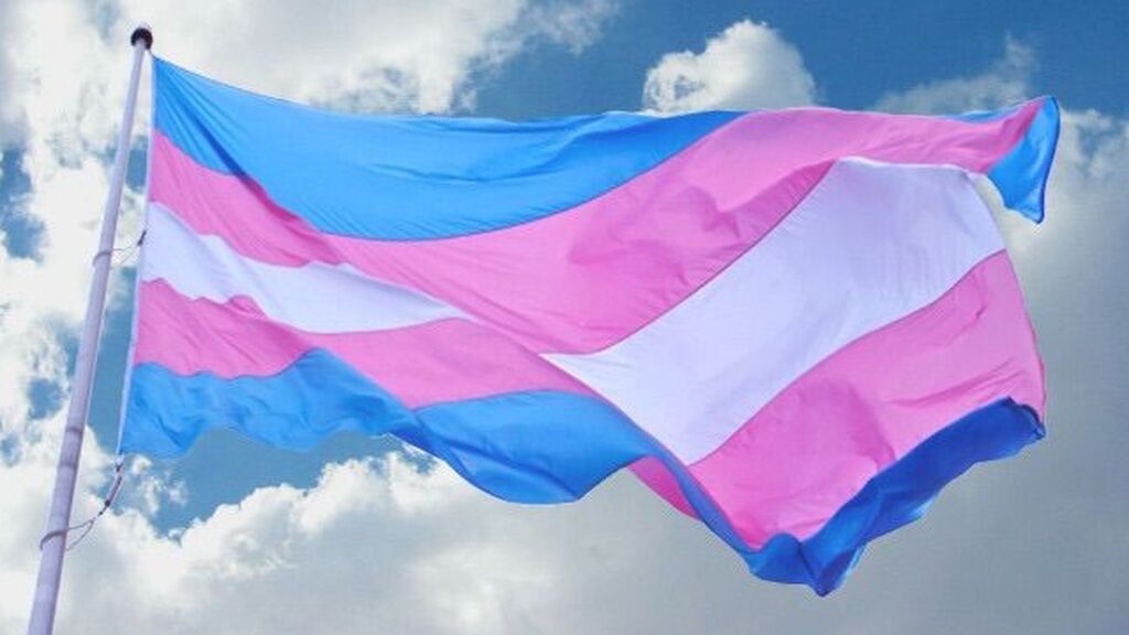 Por su parte, la trans está formada por el azul, el rosa y el blanco.