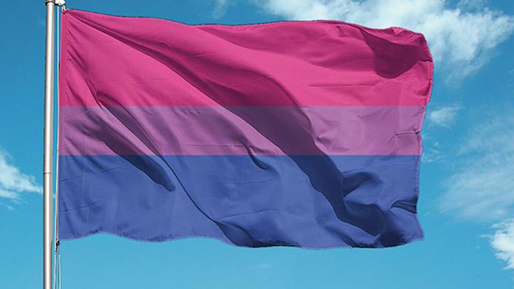 La bandera bisexual consta de tres colores.