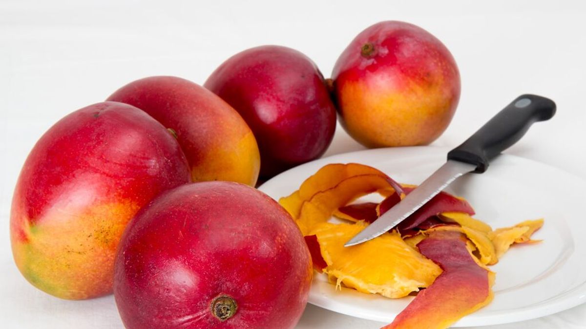 Origen y valor de los mangos Miyakazi, los más caros del mundo