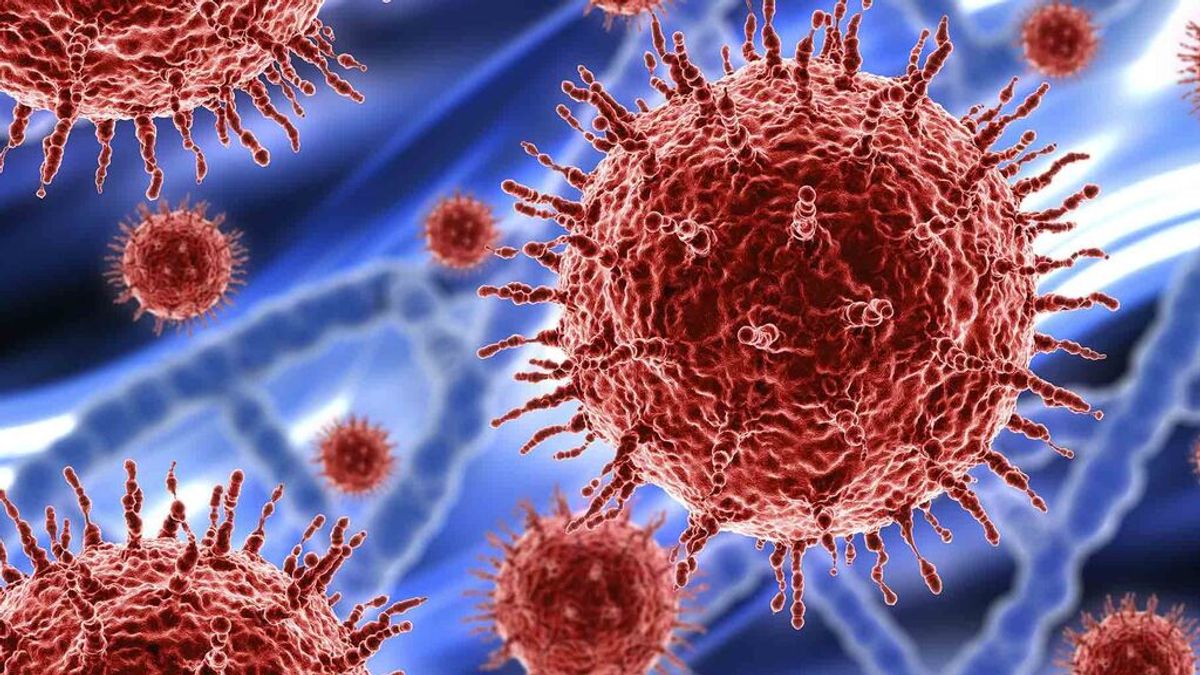 Científicos diseñan una vacuna universal contra los coronavirus que funciona en ratones Científicos diseñan una vacuna universal contra los coronavirus que funciona en ratones